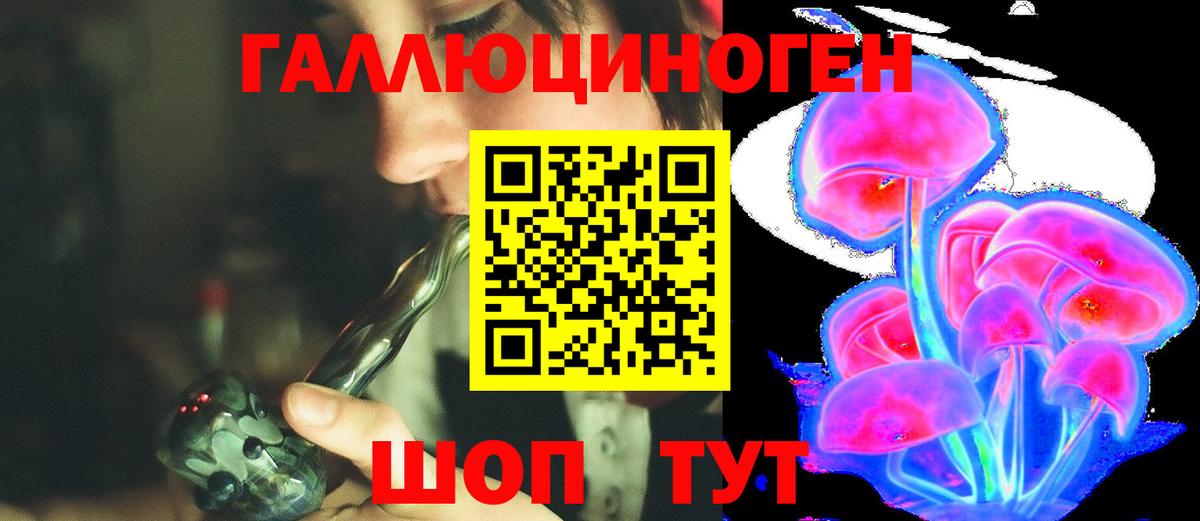 Псилоцибиновые грибы Psilocybine cubensis  Вход с VPN  Фролово 